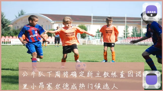 公牛队下周将确定新主教练奎因诺里小昂塞尔德成热门候选人